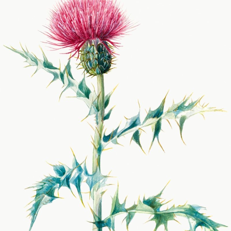 Must Be Good To&nbsp;You